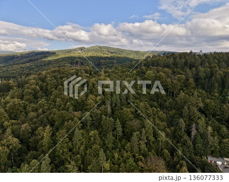 Colorful Woodland During Early Fall, Scenic Aerial Perspective Of Autumnal Woodland With Bright Foliage Colorful Woodland During Early Fall, Scenic Aerial Perspective Of Autumnal Woodland With Bright Foliage 136077333