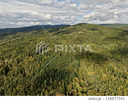 Vibrant Aerial Scene Showcasing Luminous Mountain Crests Alongside Shaded Woodland Gorges With Layered Light Vibrant Aerial Scene Showcasing Luminous Mountain Crests Alongside Shaded Woodland Gorges With Layered Light 136077341