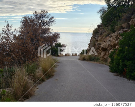 Quiet seaside road bordered by natural cliffs, Calm coastal route lined with shrubs and rocky outcrop Quiet seaside road bordered by natural cliffs, Calm coastal route lined with shrubs and rocky outcrop 136077527