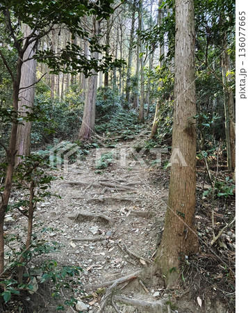 石尊山への急こう配の登山道【外秩父七峰縦走ハイキングコース】埼玉県小川町 石尊山への急こう配の登山道【外秩父七峰縦走ハイキングコース】埼玉県小川町 136077665