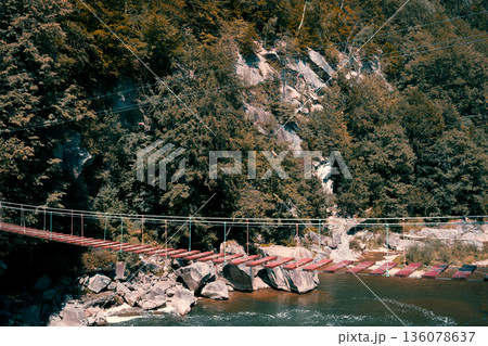 Abandoned Bridge Over Mountain River in Forest Abandoned Bridge Over Mountain River in Forest 136078637