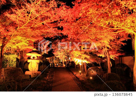 燃ゆる木々… 紅葉の見ごろを迎えた寺院の庭園 136078645