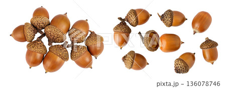 Brown acorn oak nut isolated on white background. Top view. Flat lay Brown acorn oak nut isolated on white background. Top view. Flat lay 136078746