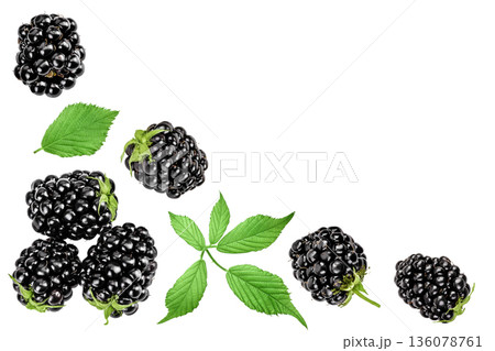 blackberry with leaf isolated on a white background. Top view with copy space for your text. Flat lay 136078761