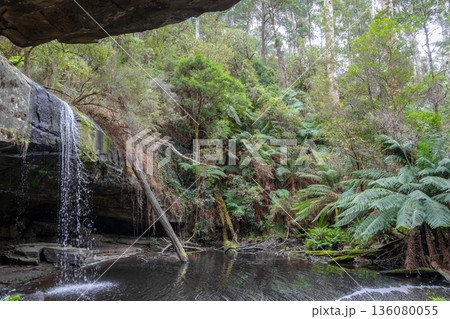 Kalimna Falls along Cumberland River trek, Great Ocean Road, Australia Kalimna Falls along Cumberland River trek, Great Ocean Road, Australia 136080055