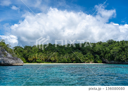 Paradise beach and island, Togian Islands, Sulawesi, Indonesia Paradise beach and island, Togian Islands, Sulawesi, Indonesia 136080080