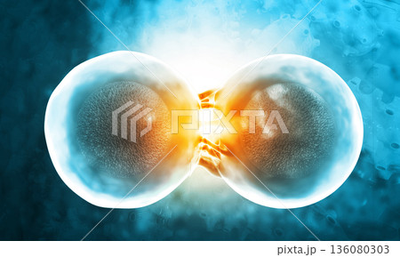 Cell division on blue background Cell division on blue background 136080303