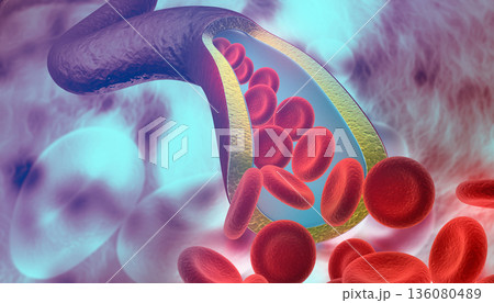 Red blood cells in vein Red blood cells in vein 136080489