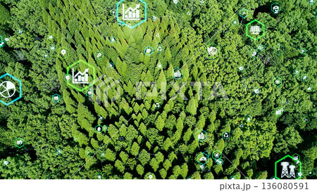 森林の空撮と環境テクノロジー 136080591