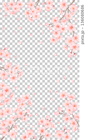 Cherry blossom vertical frame background Spring illustration for SNS stories and smartphone wallpapers Cherry blossom vertical frame background Spring illustration for SNS stories and smartphone wallpapers 136080686