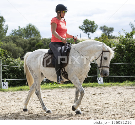 riding girl and horse riding girl and horse 136081216