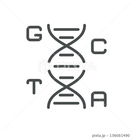 DNA Bases Icon. Outline Isolated Pictogram of Nucleotides GCTA, Representing Genetic Code, Sequencing and Molecular Biology. Line Icon for Science and Education Applications. DNA Bases Icon. Outline Isolated Pictogram of Nucleotides GCTA, Representing Genetic Code, Sequencing and Molecular Biology. Line Icon for Science and Education Applications. 136081490