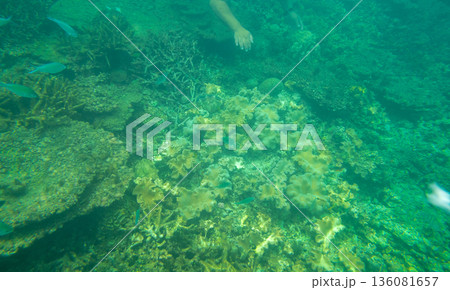 various various 136081657