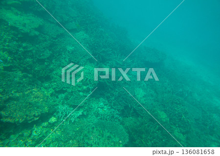 various various 136081658