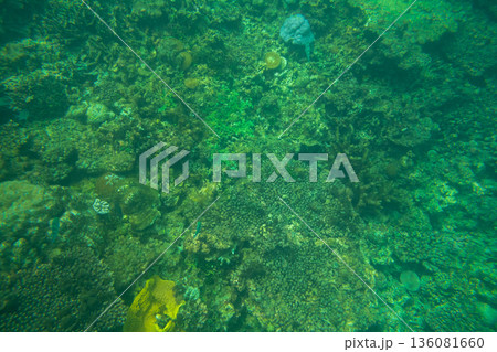 various various 136081660
