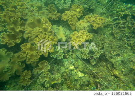 various various 136081662