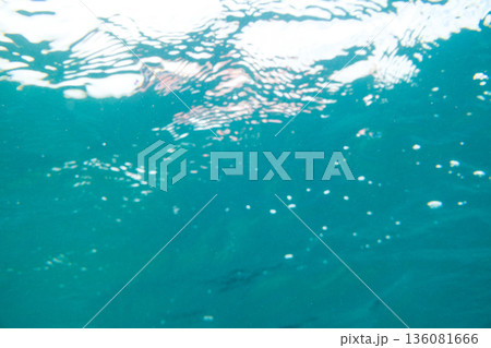 various 136081666
