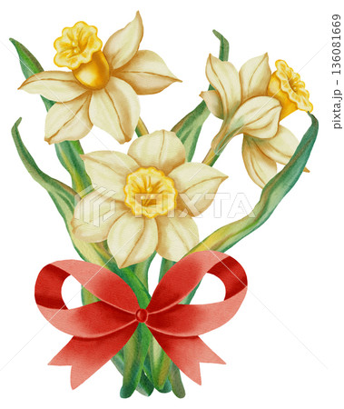 This hand-drawn watercolor illustration depicts a bouquet of white daffodils. This spring floral illustration is perfect for holiday cards, birthdays, International Women's Day, and Easter This hand-drawn watercolor illustration depicts a bouquet of white daffodils. This spring floral illustration is perfect for holiday cards, birthdays, International Women's Day, and Easter 136081669