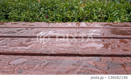 Reflective scene of rainsoaked bench with surrounding greenery Reflective scene of rainsoaked bench with surrounding greenery 136082196