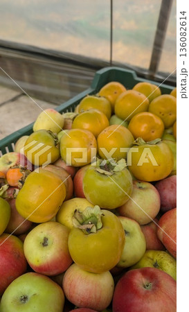 Farmstand Filled With Ripe Seasonal Produce, Colourful Assortment Of Fruits At Outdoor Market Stand 136082614