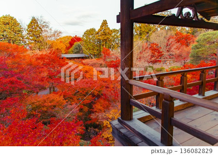 京都東福寺 通天橋からの眺望 京都東福寺 通天橋からの眺望 136082829