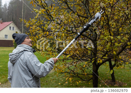 Adult man trimming branches using electric pole pruner, autumn foliage, seasonal garden care, outdoor work in private residential yard. Adult man trimming branches using electric pole pruner, autumn foliage, seasonal garden care, outdoor work in private residential yard. 136082970