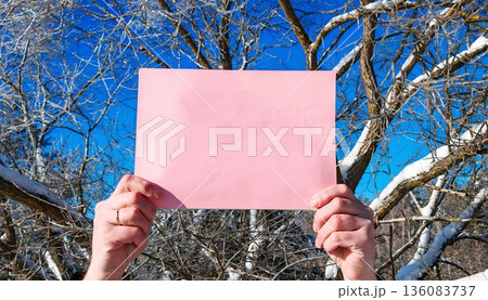 Pink Paper Held Against Frosty Winter Trees. male hands holding blank pink sheet of paper in front of icy branches and blue sky. copy space Pink Paper Held Against Frosty Winter Trees. male hands holding blank pink sheet of paper in front of icy branches and blue sky. copy space 136083737