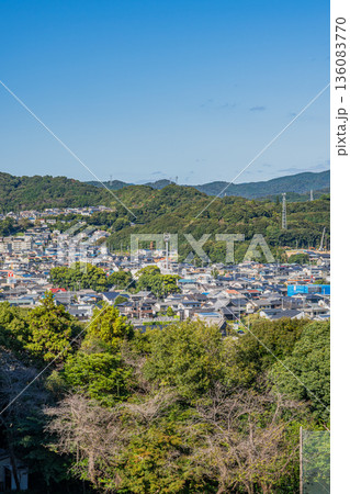 豊川市の街並み(愛知県) 136083770
