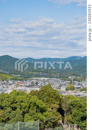 豊川市の街並み(愛知県) 豊川市の街並み(愛知県) 136083933