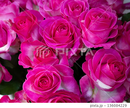 Rose roses, valentine bouquet background. Flowers. 136084229