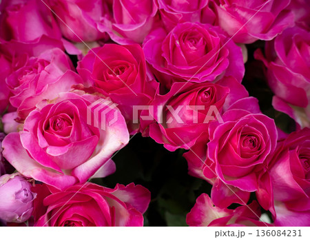 Rose roses, valentine bouquet background. Flowers. Rose roses, valentine bouquet background. Flowers. 136084231
