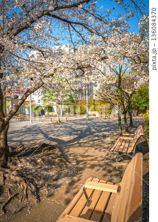 防災公園根岸の里 136084370