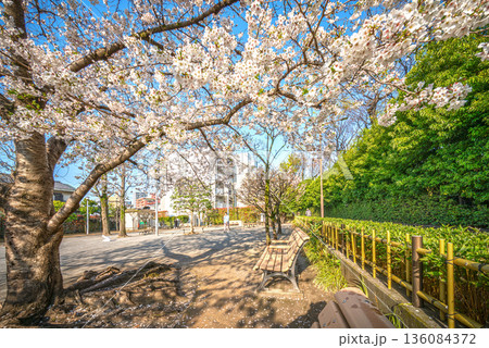 防災公園根岸の里 防災公園根岸の里 136084372