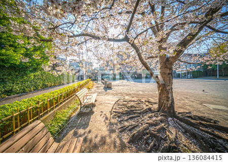 防災公園根岸の里 136084415