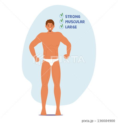 Male body strong, muscular and large according to gender role stereotypes and societal expectations 136084900