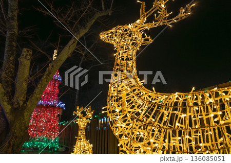 黄金に輝くトナカイ しばたファンタジーイルミネーション 黄金に輝くトナカイ しばたファンタジーイルミネーション 136085051