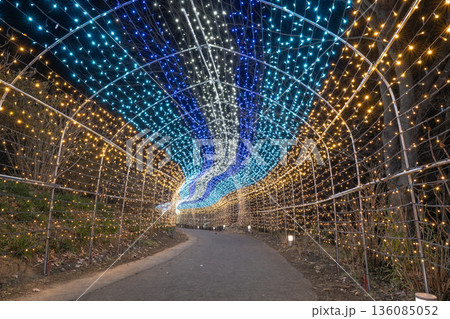 光のトンネル　しばたファンタジーイルミネーション 136085052