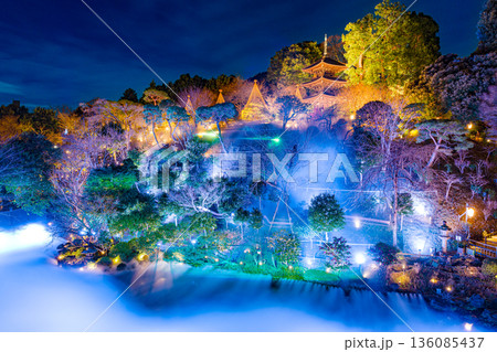 椿山荘　森のオーロラ　東京雲海 136085437