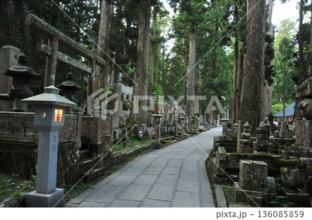 高野山 奥之院 高野山 奥之院 136085859
