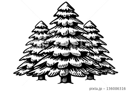 Hand drawn evergreen trees, monochrome pine forest illustration detailed nature graphic for wilderness, outdoors, and design, AI Generative 136086316