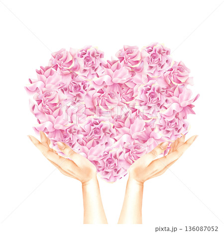 Watercolor floral heart in women hands. Delicate Pink roses composition for Valentine's Day, Beauty industry, Wedding day and florist shop. Illustration isolated on transparent background 136087052