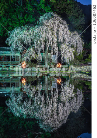青屋神明神社のしだれ桜 青屋神明神社のしだれ桜 136087462