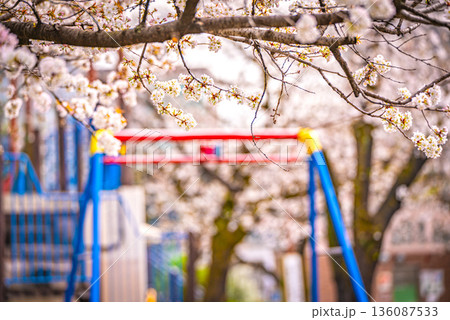 日暮里南公園の桜 日暮里南公園の桜 136087533