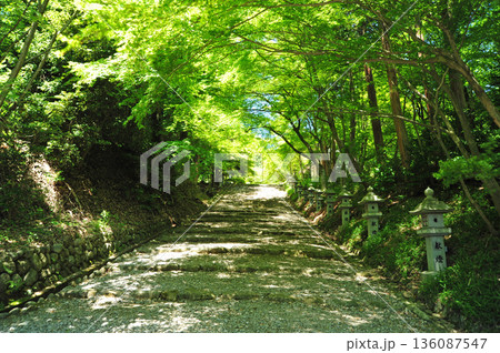 滋賀県多賀町 故宮神社 滋賀県多賀町 故宮神社 136087547