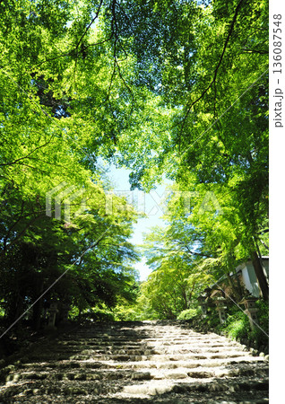滋賀県多賀町　故宮神社 136087548
