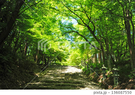 滋賀県多賀町 故宮神社 滋賀県多賀町 故宮神社 136087550