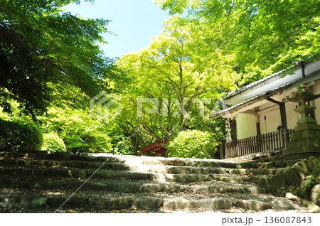 滋賀県多賀町　故宮神社 136087843