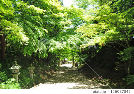 滋賀県多賀町 故宮神社 滋賀県多賀町 故宮神社 136087845