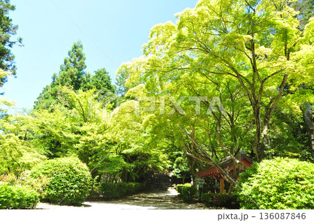 滋賀県多賀町 胡宮神社 滋賀県多賀町 胡宮神社 136087846