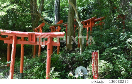 油山寺の赤い鳥居 油山寺の赤い鳥居 136088253